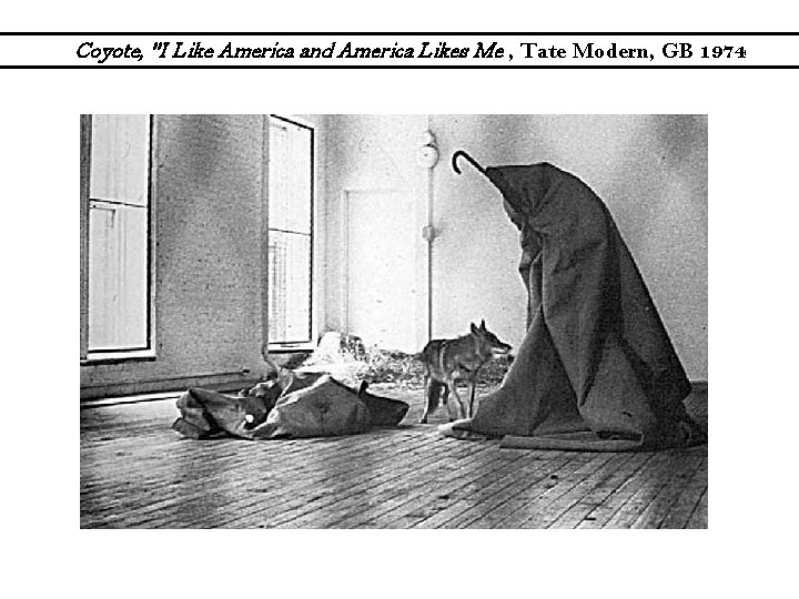 Coyote, "I Like America and America Likes Me , Tate Modern, GB 1974 
