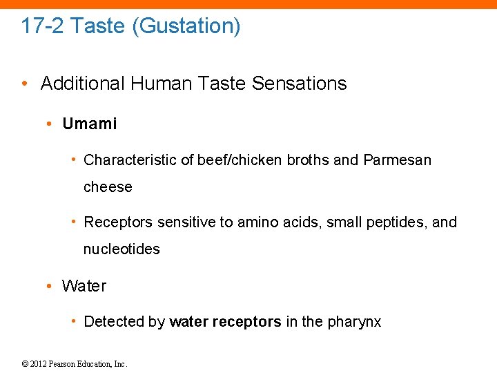 17 -2 Taste (Gustation) • Additional Human Taste Sensations • Umami • Characteristic of