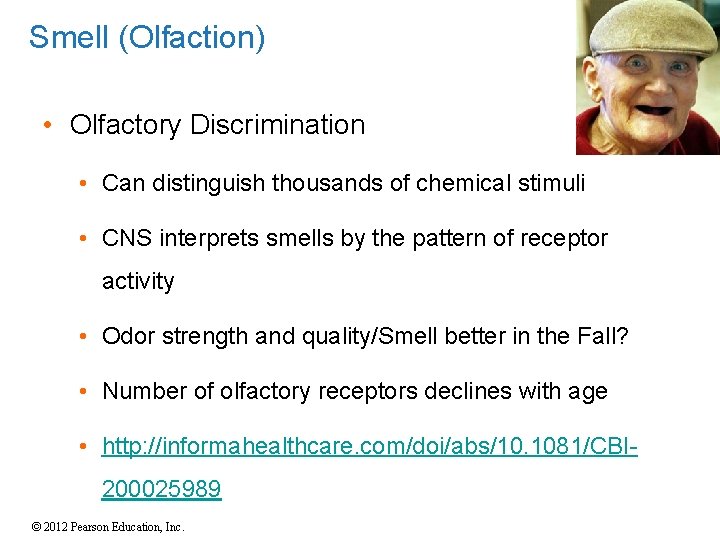 Smell (Olfaction) • Olfactory Discrimination • Can distinguish thousands of chemical stimuli • CNS