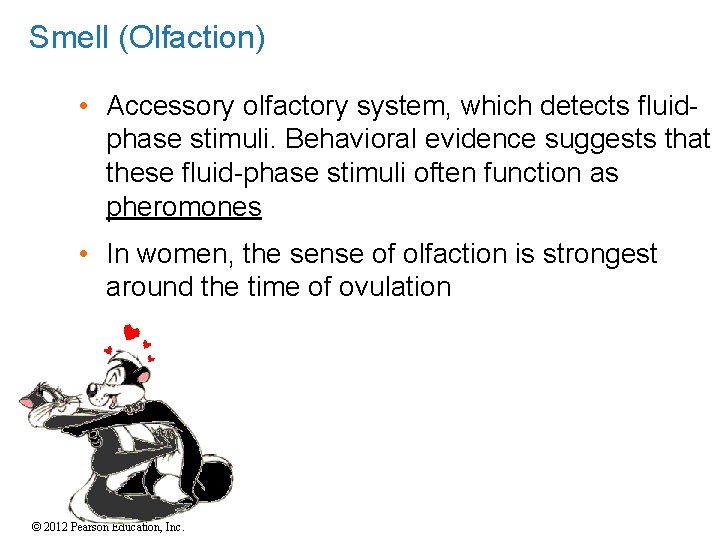 Smell (Olfaction) • Accessory olfactory system, which detects fluidphase stimuli. Behavioral evidence suggests that