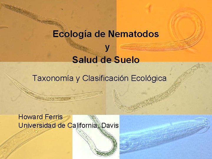Ecología de Nematodos y Salud de Suelo Taxonomía y Clasificación Ecológica Howard Ferris Universidad