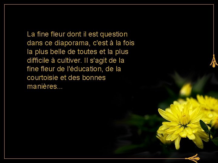 La fine fleur dont il est question dans ce diaporama, c'est à la fois