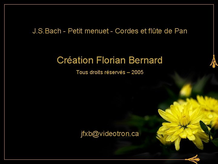 J. S. Bach - Petit menuet - Cordes et flûte de Pan Création Florian