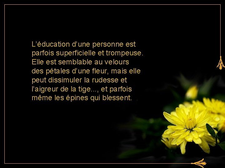 L’éducation d’une personne est parfois superficielle et trompeuse. Elle est semblable au velours des