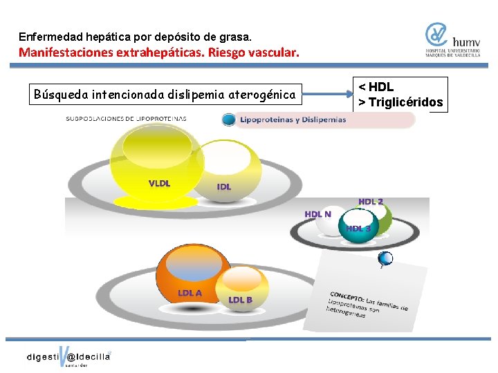 Enfermedad hepática por depósito de grasa. Manifestaciones extrahepáticas. Riesgo vascular. Búsqueda intencionada dislipemia aterogénica