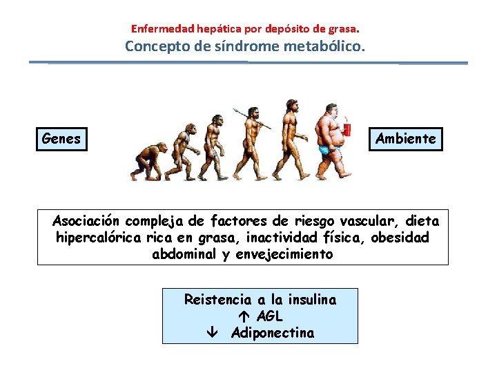 Enfermedad hepática por depósito de grasa. Concepto de síndrome metabólico. Genes Ambiente Asociación compleja