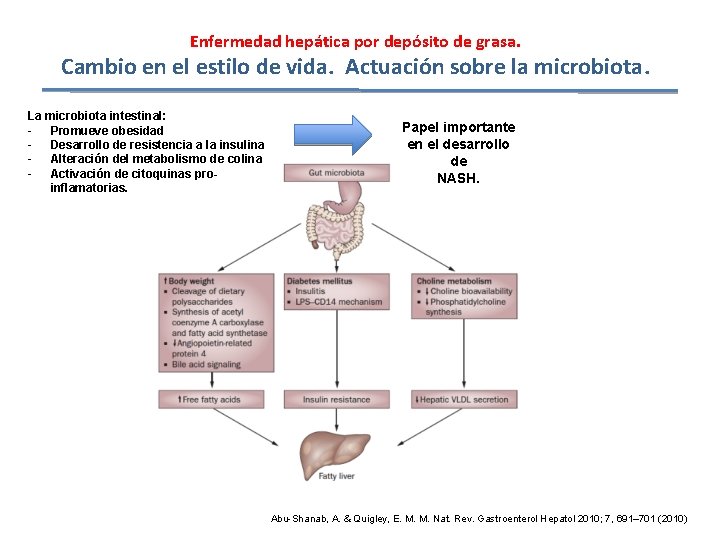 Enfermedad hepática por depósito de grasa. Cambio en el estilo de vida. Actuación sobre