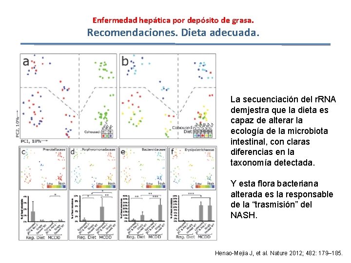 Enfermedad hepática por depósito de grasa. Recomendaciones. Dieta adecuada. La secuenciación del r. RNA