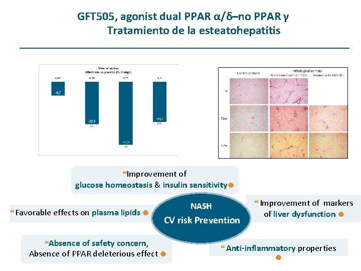 GFT 505, agonist dual PPAR α/δ–no PPAR γ Tratamiento de la esteatohepatitis Improvement of