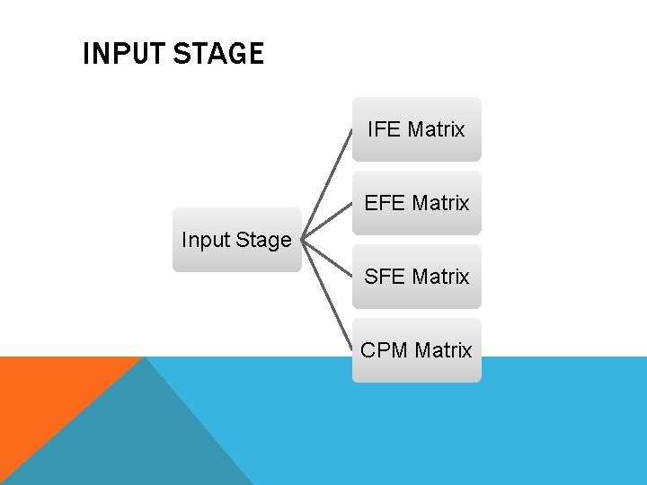 INPUT STAGE IFE Matrix EFE Matrix Input Stage SFE Matrix CPM Matrix 