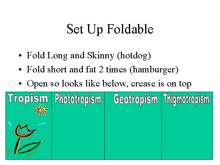 Set Up Foldable • Fold Long and Skinny (hotdog) • Fold short and fat
