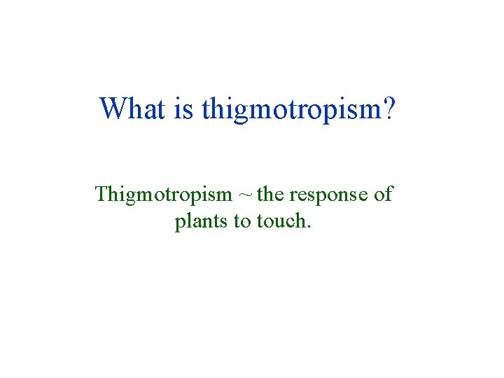 What is thigmotropism? Thigmotropism ~ the response of plants to touch. 