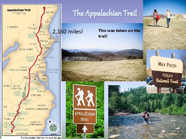 The Appalachian Trail 2, 160 miles! This was taken on the trail! 