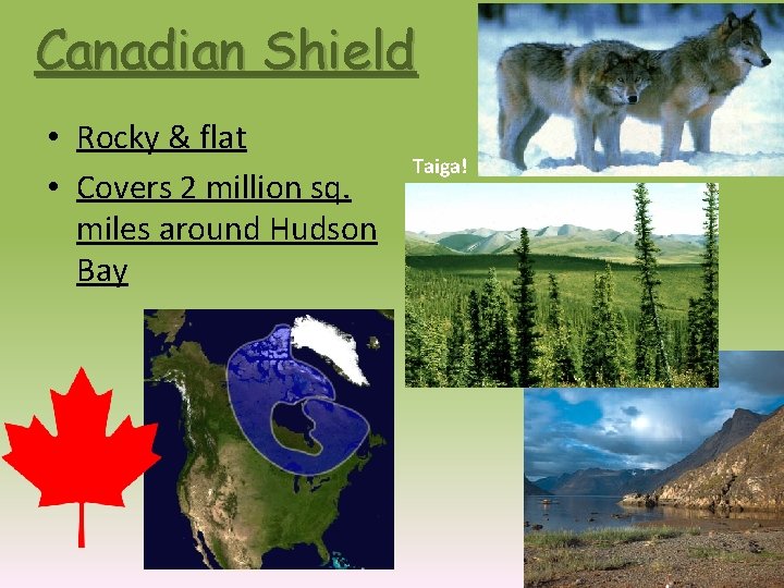 Canadian Shield • Rocky & flat • Covers 2 million sq. miles around Hudson