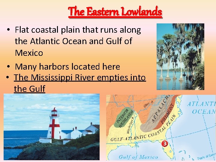 The Eastern Lowlands • Flat coastal plain that runs along the Atlantic Ocean and