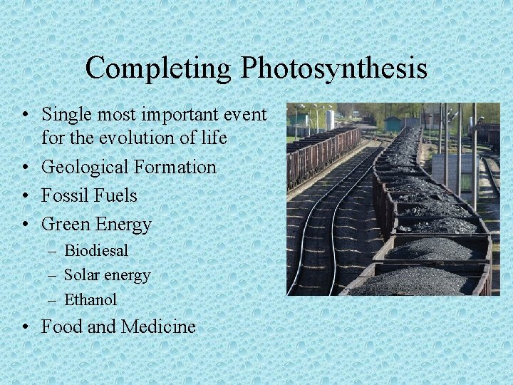 Completing Photosynthesis • Single most important event for the evolution of life • Geological