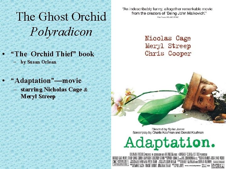 The Ghost Orchid Polyradicon • “The Orchid Thief” book – by Susan Orlean •