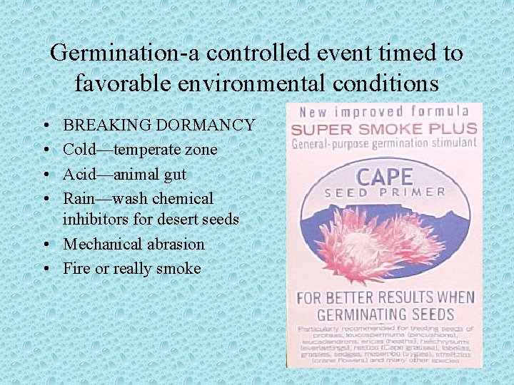 Germination-a controlled event timed to favorable environmental conditions • • BREAKING DORMANCY Cold—temperate zone