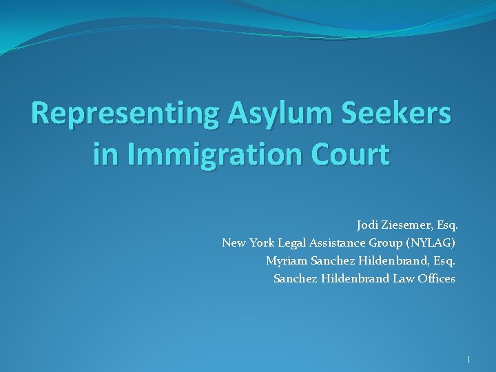 Representing Asylum Seekers in Immigration Court Jodi Ziesemer, Esq. New York Legal Assistance Group Representing Asylum Seekers in Immigration Court Jodi Ziesemer, Esq. New York Legal Assistance Group
