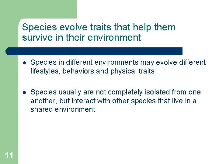 Species evolve traits that help them survive in their environment 11 l Species in