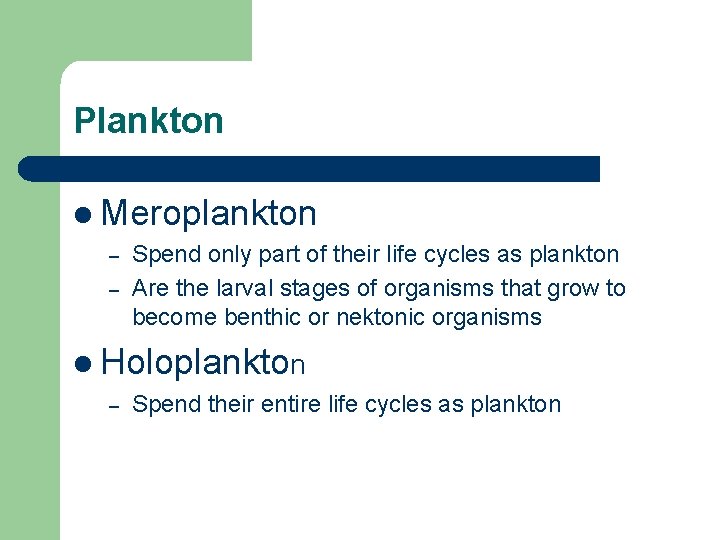 Plankton l Meroplankton – – Spend only part of their life cycles as plankton