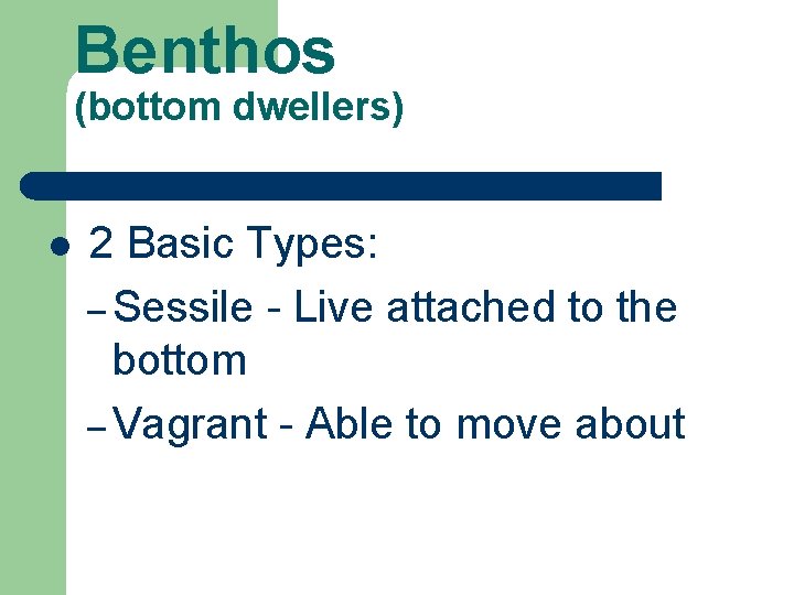 Benthos (bottom dwellers) l 2 Basic Types: – Sessile - Live attached to the