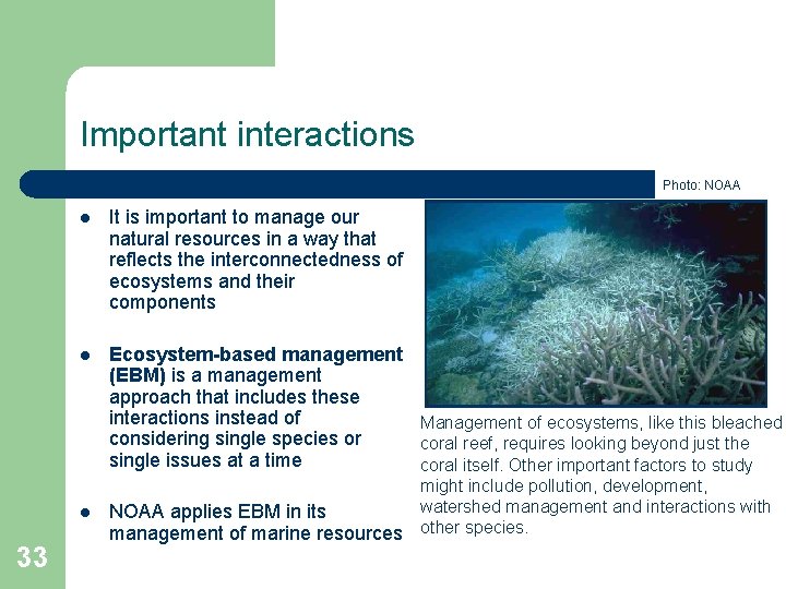 Important interactions Photo: NOAA l It is important to manage our natural resources in