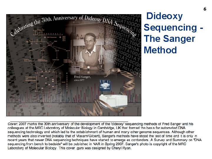 Dideoxy Sequencing The Sanger Method 6 