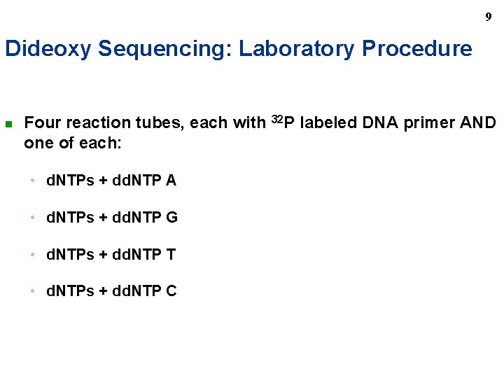 9 Dideoxy Sequencing: Laboratory Procedure n Four reaction tubes, each with 32 P labeled