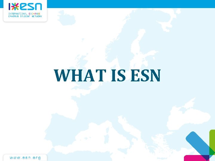 WHAT IS ESN 