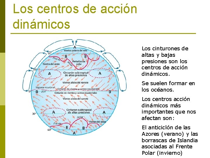 Los centros de acción dinámicos Los cinturones de altas y bajas presiones son los