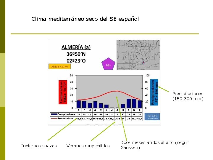 Clima mediterráneo seco del SE español Precipitaciones (150 -300 mm) Inviernos suaves Veranos muy