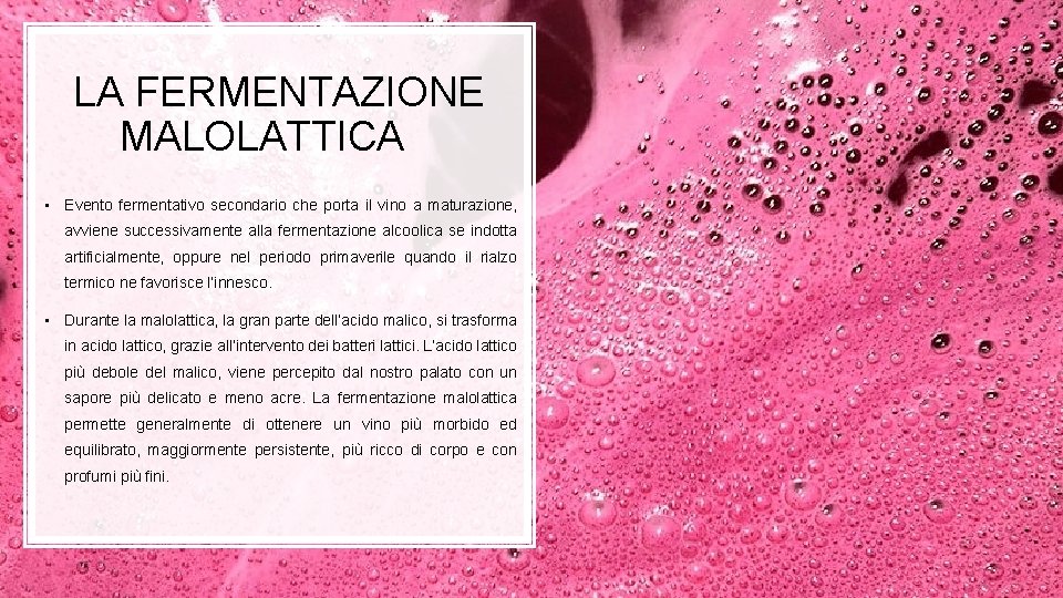 LA FERMENTAZIONE MALOLATTICA • Evento fermentativo secondario che porta il vino a maturazione, avviene LA FERMENTAZIONE MALOLATTICA • Evento fermentativo secondario che porta il vino a maturazione, avviene