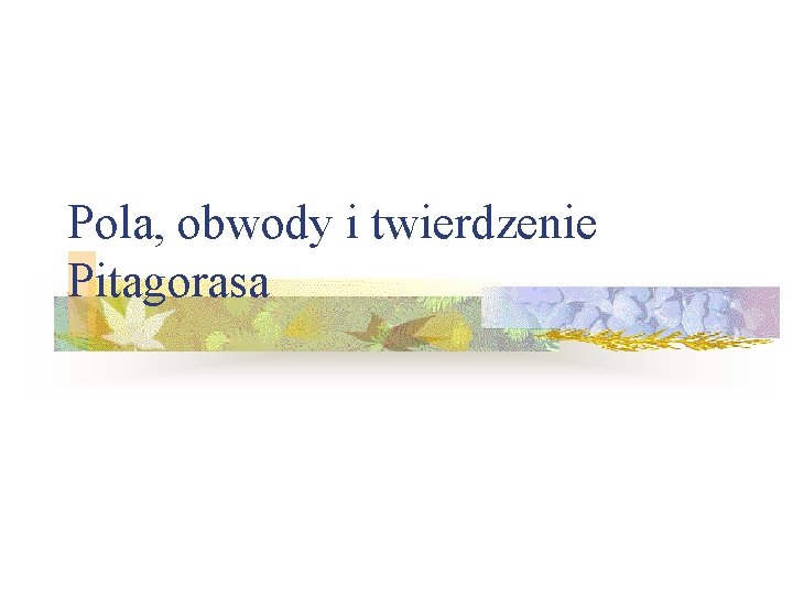 Pola, obwody i twierdzenie Pitagorasa Pola, obwody i twierdzenie Pitagorasa