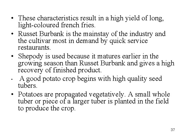  • These characteristics result in a high yield of long, light-coloured french fries.
