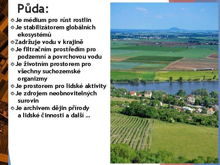 Půda: Je Je médium pro růst rostlin stabilizátorem globálních ekosystémů Zadržuje vodu v krajině