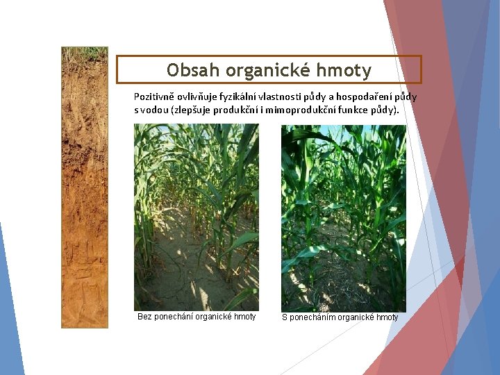 Obsah organické hmoty Pozitivně ovlivňuje fyzikální vlastnosti půdy a hospodaření půdy s vodou (zlepšuje