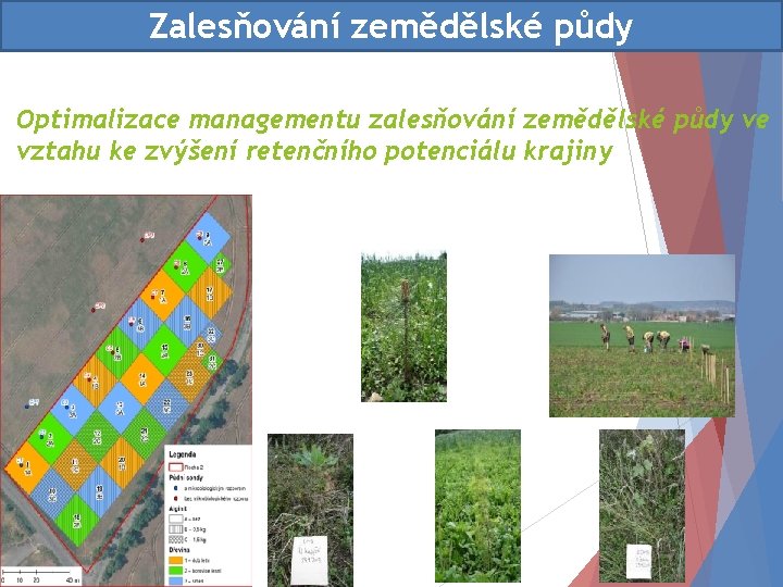 Zalesňování zemědělské půdy Optimalizace managementu zalesňování zemědělské půdy ve vztahu ke zvýšení retenčního potenciálu