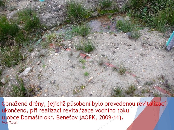 Obnažené drény, jejichž působení bylo provedenou revitalizací ukončeno, při realizaci revitalizace vodního toku u