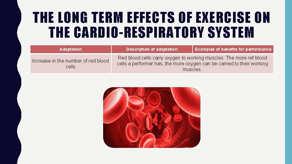 THE LONG TERM EFFECTS OF EXERCISE ON THE CARDIO-RESPIRATORY SYSTEM Adaptation Increase in the