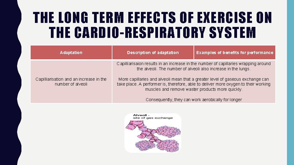 THE LONG TERM EFFECTS OF EXERCISE ON THE CARDIO-RESPIRATORY SYSTEM Adaptation Description of adaptation