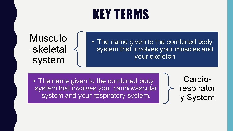 KEY TERMS Musculo -skeletal system • The name given to the combined body system