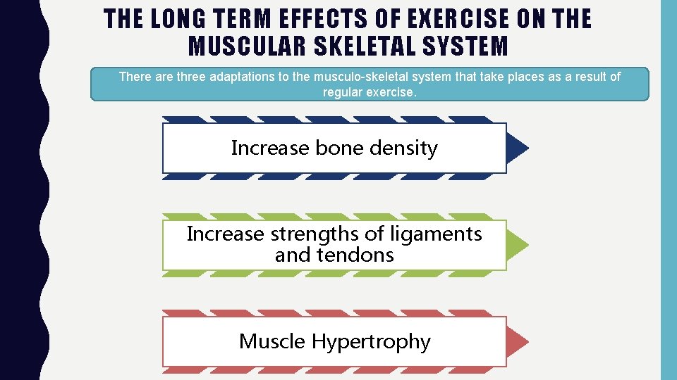 THE LONG TERM EFFECTS OF EXERCISE ON THE MUSCULAR SKELETAL SYSTEM There are three