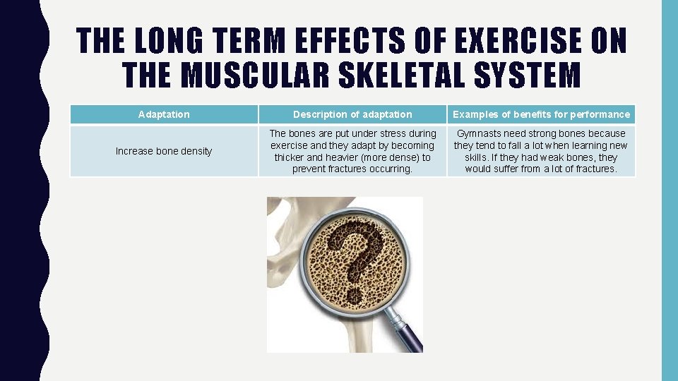 THE LONG TERM EFFECTS OF EXERCISE ON THE MUSCULAR SKELETAL SYSTEM Adaptation Description of