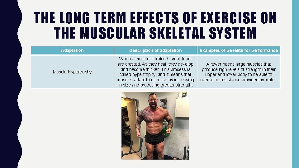 THE LONG TERM EFFECTS OF EXERCISE ON THE MUSCULAR SKELETAL SYSTEM Adaptation Description of