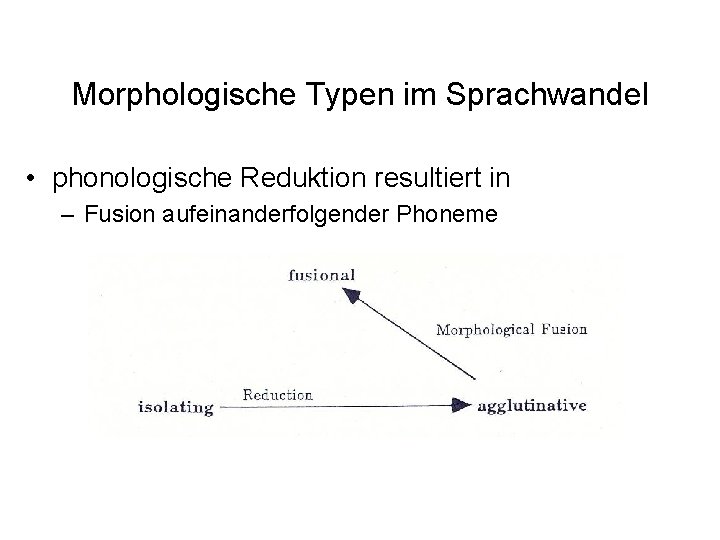 Morphologische Typen im Sprachwandel • phonologische Reduktion resultiert in – Fusion aufeinanderfolgender Phoneme Morphologische Typen im Sprachwandel • phonologische Reduktion resultiert in – Fusion aufeinanderfolgender Phoneme
