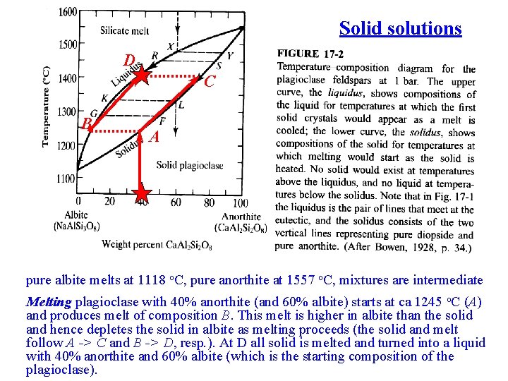 Solid solutions D C B A pure albite melts at 1118 o. C, pure