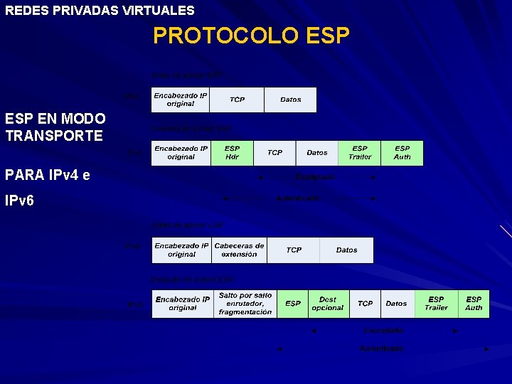 REDES PRIVADAS VIRTUALES PROTOCOLO ESP EN MODO TRANSPORTE PARA IPv 4 e IPv 6
