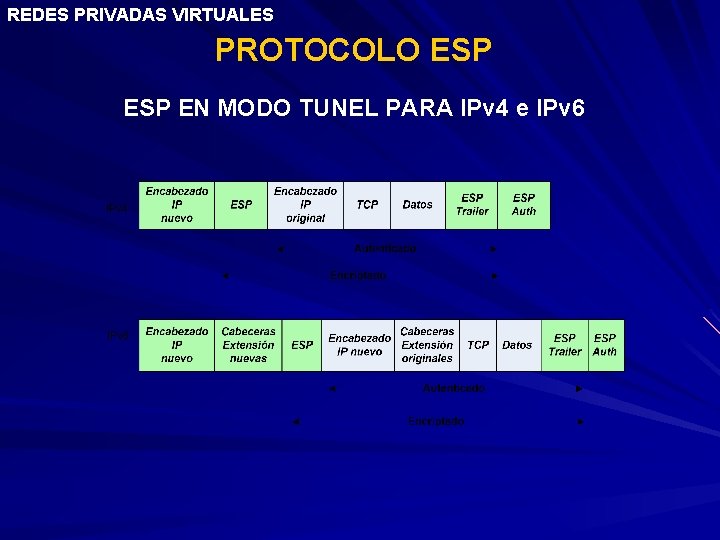 REDES PRIVADAS VIRTUALES PROTOCOLO ESP EN MODO TUNEL PARA IPv 4 e IPv 6