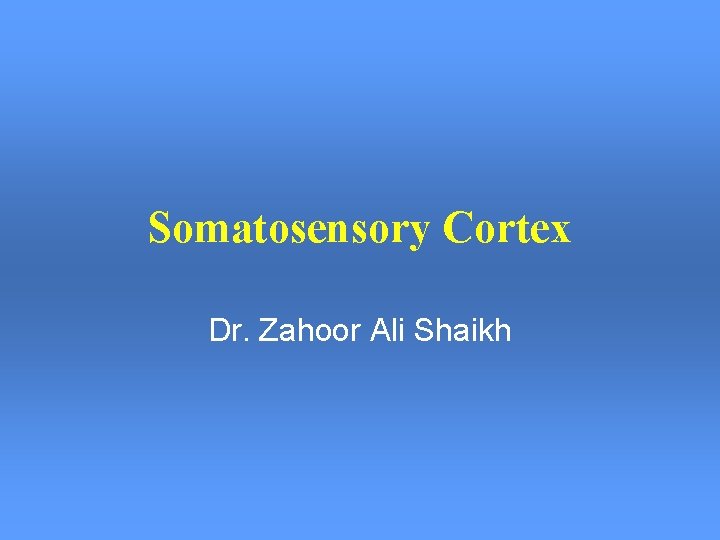 Somatosensory Cortex Dr. Zahoor Ali Shaikh Somatosensory Cortex Dr. Zahoor Ali Shaikh